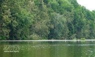 Local initiatives drive Vietnam’s push to protect biodiversity for sustainable future